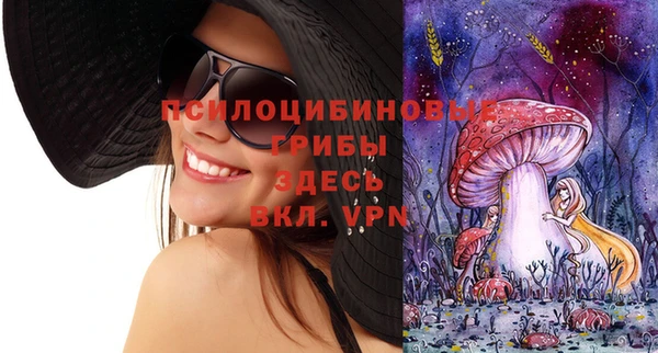 твердый Алексин