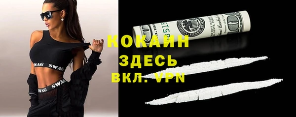 твердый Алексин