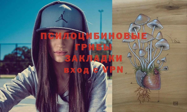 apvp Алзамай